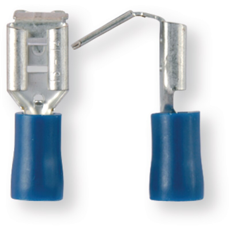 plosnata musko-zenska 2,5